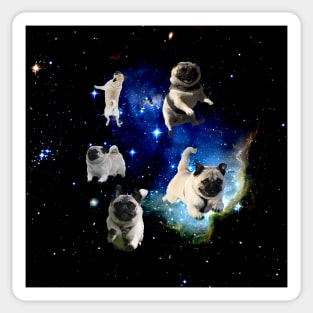 Space Pugs Sticker